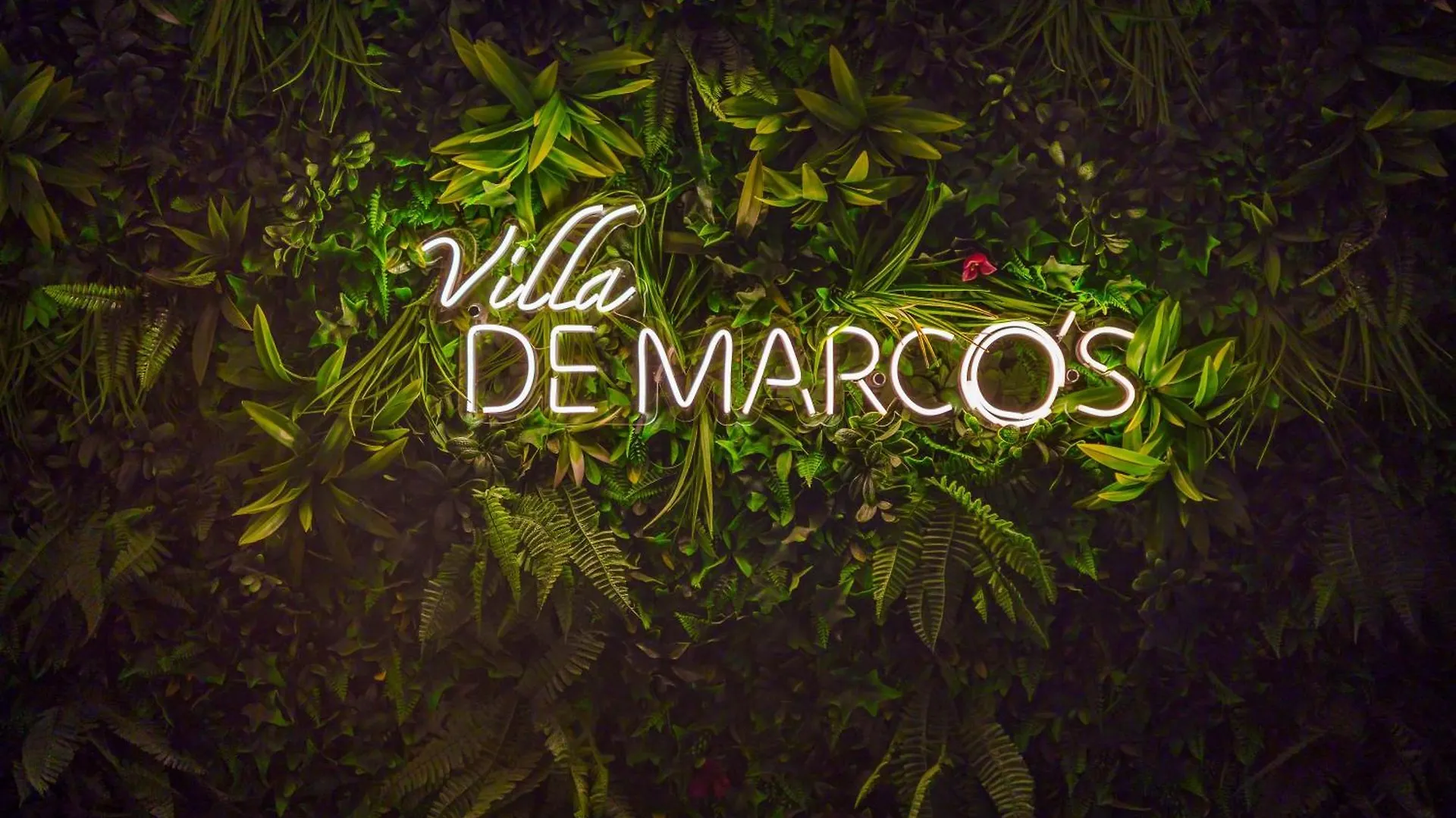 Villa De Marcos Alojamiento De Lujo Con Piscina Privada Арона